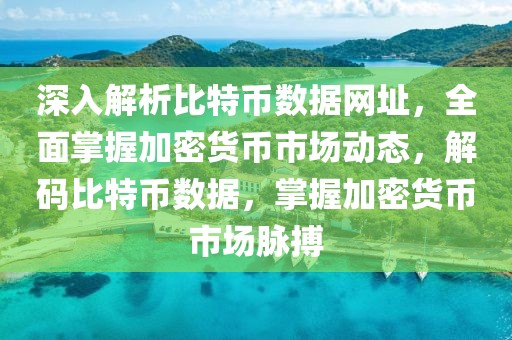 深入解析比特幣數(shù)據網址，全面掌握加密貨幣市場動態(tài)，解碼比特幣數(shù)據，掌握加密貨幣市場脈搏