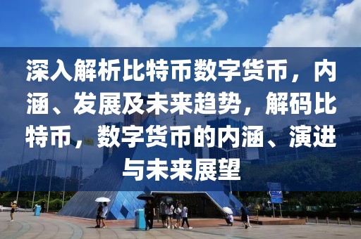 深入解析比特幣數(shù)字貨幣，內(nèi)涵、發(fā)展及未來趨勢，解碼比特幣，數(shù)字貨幣的內(nèi)涵、演進(jìn)與未來展望