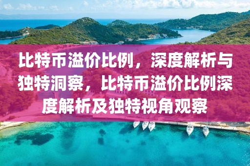 比特幣溢價比例，深度解析與獨特洞察，比特幣溢價比例深度解析及獨特視角觀察