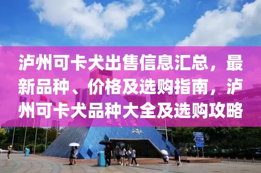 瀘州可卡犬出售信息匯總，最新品種、價格及選購指南，瀘州可卡犬品種大全及選購攻略