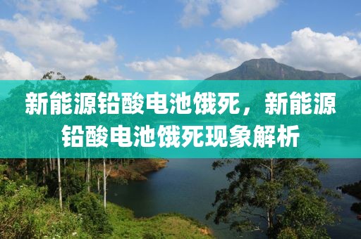 新能源鉛酸電池餓死，新能源鉛酸電池餓死現(xiàn)象解析