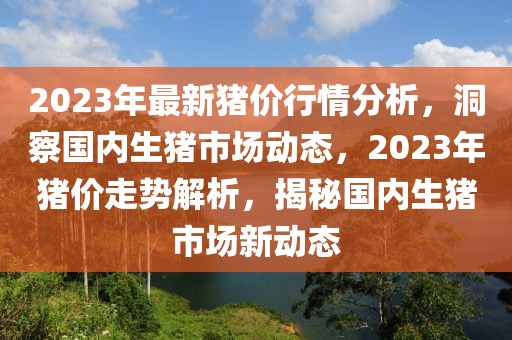 2023年最新豬價(jià)行情分析，洞察國(guó)內(nèi)生豬市場(chǎng)動(dòng)態(tài)，2023年豬價(jià)走勢(shì)解析，揭秘國(guó)內(nèi)生豬市場(chǎng)新動(dòng)態(tài)