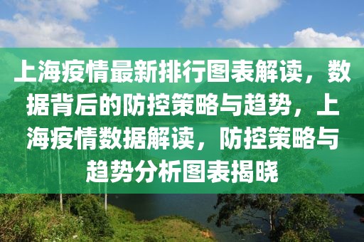 上海疫情最新排行圖表解讀，數(shù)據(jù)背后的防控策略與趨勢，上海疫情數(shù)據(jù)解讀，防控策略與趨勢分析圖表揭曉