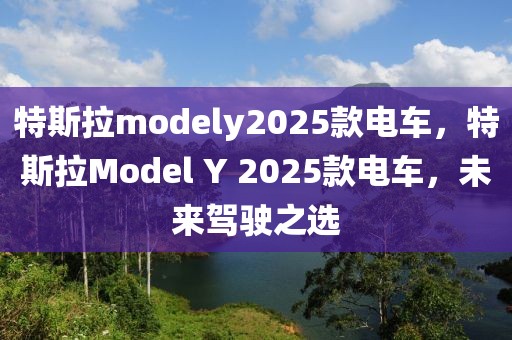 特斯拉modely2025款電車，特斯拉Model Y 2025款電車，未來駕駛之選