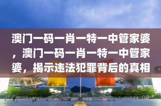 澳門一碼一肖一特一中管家婆，澳門一碼一肖一特一中管家婆，揭示違法犯罪背后的真相