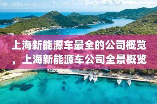 上海新能源車最全的公司概覽，上海新能源車公司全景概覽