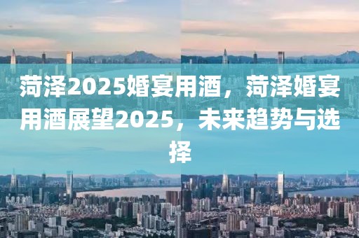 菏澤2025婚宴用酒，菏澤婚宴用酒展望2025，未來趨勢與選擇