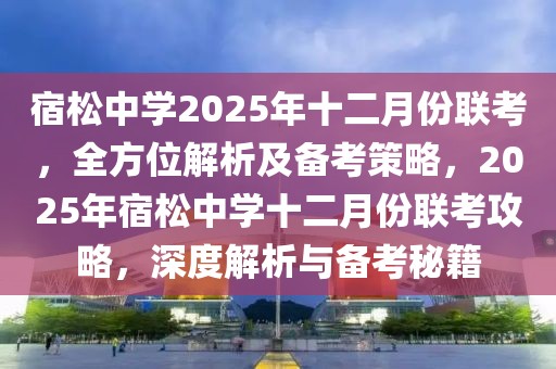 宿松中學(xué)2025年十二月份聯(lián)考，全方位解析及備考策略，2025年宿松中學(xué)十二月份聯(lián)考攻略，深度解析與備考秘籍