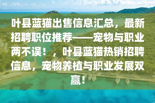 葉縣藍貓出售信息匯總，最新招聘職位推薦——寵物與職業(yè)兩不誤！，葉縣藍貓熱銷招聘信息，寵物養(yǎng)植與職業(yè)發(fā)展雙贏！