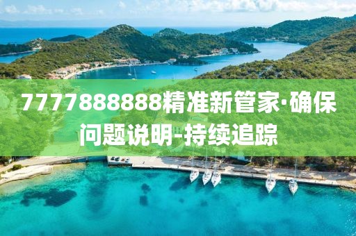 7777888888精準新管家·確保問題說明-持續(xù)追蹤