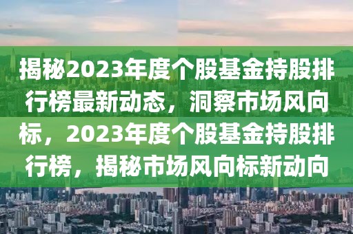 揭秘2023年度個(gè)股基金持股排行榜最新動(dòng)態(tài)，洞察市場(chǎng)風(fēng)向標(biāo)，2023年度個(gè)股基金持股排行榜，揭秘市場(chǎng)風(fēng)向標(biāo)新動(dòng)向