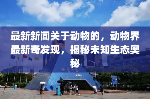 最新新聞關于動物的，動物界最新奇發(fā)現(xiàn)，揭秘未知生態(tài)奧秘