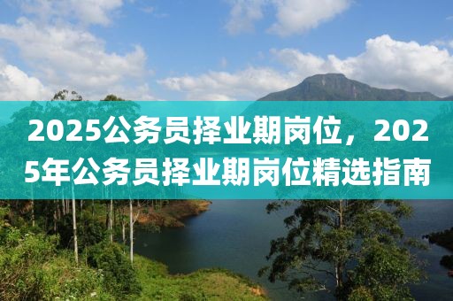 2025公務(wù)員擇業(yè)期崗位，2025年公務(wù)員擇業(yè)期崗位精選指南