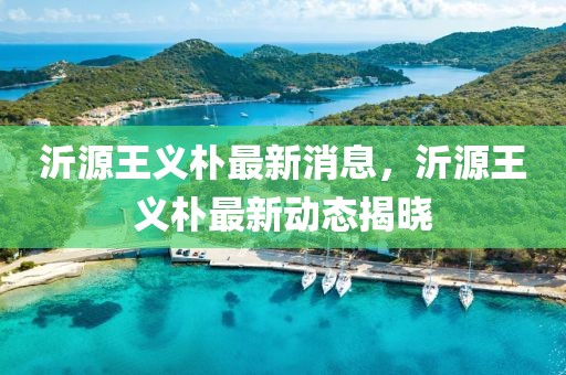 沂源王義樸最新消息，沂源王義樸最新動態(tài)揭曉