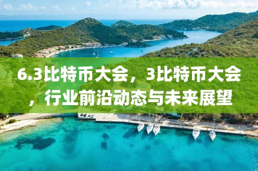 6.3比特幣大會，3比特幣大會，行業(yè)前沿動態(tài)與未來展望