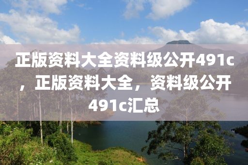 正版資料大全資料級公開491c，正版資料大全，資料級公開491c匯總