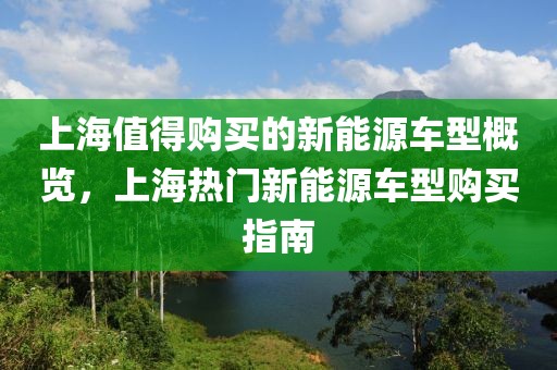 上海值得購買的新能源車型概覽，上海熱門新能源車型購買指南