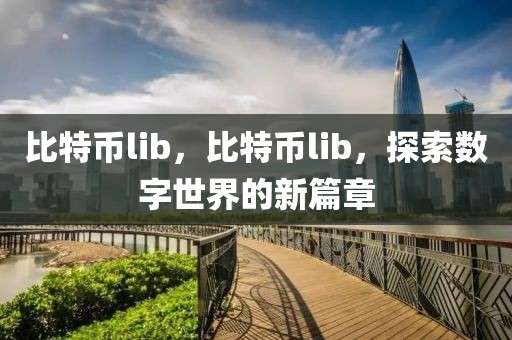 比特幣lib，比特幣lib，探索數(shù)字世界的新篇章