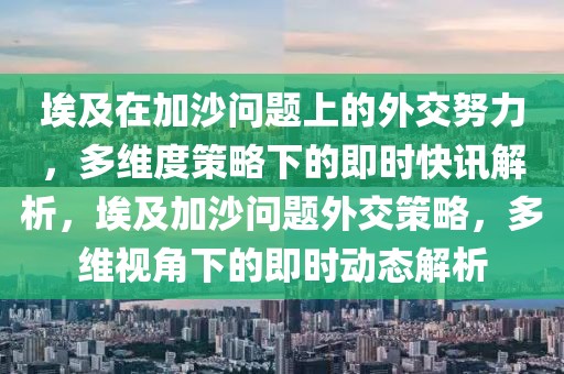 埃及在加沙問題上的外交努力，多維度策略下的即時(shí)快訊解析，埃及加沙問題外交策略，多維視角下的即時(shí)動(dòng)態(tài)解析