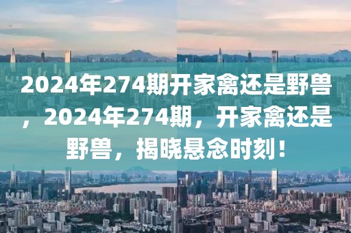 2024年274期開家禽還是野獸，2024年274期，開家禽還是野獸，揭曉懸念時刻！