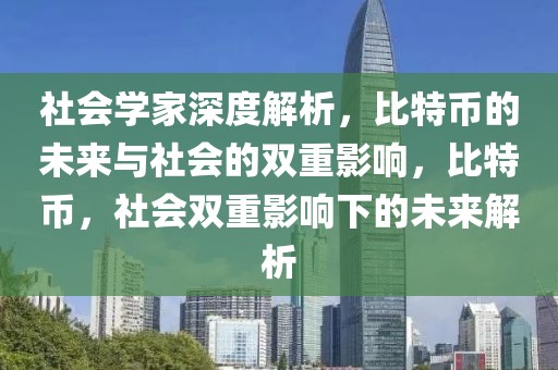 社會學家深度解析，比特幣的未來與社會的雙重影響，比特幣，社會雙重影響下的未來解析