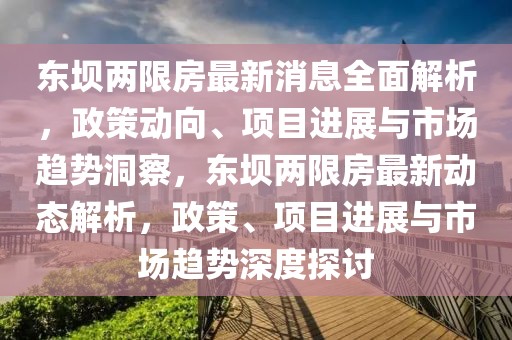 東壩兩限房最新消息全面解析，政策動向、項目進展與市場趨勢洞察，東壩兩限房最新動態(tài)解析，政策、項目進展與市場趨勢深度探討