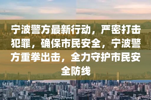 寧波警方最新行動，嚴密打擊犯罪，確保市民安全，寧波警方重拳出擊，全力守護市民安全防線