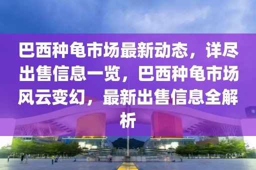 巴西種龜市場最新動態(tài)，詳盡出售信息一覽，巴西種龜市場風(fēng)云變幻，最新出售信息全解析