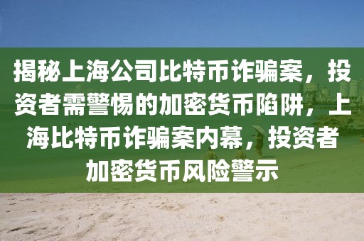 揭秘上海公司比特幣詐騙案，投資者需警惕的加密貨幣陷阱，上海比特幣詐騙案內(nèi)幕，投資者加密貨幣風(fēng)險(xiǎn)警示