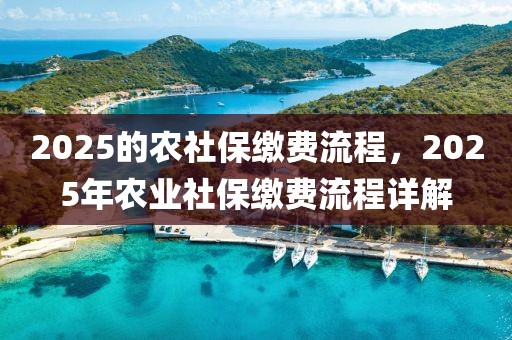 2025的農(nóng)社保繳費(fèi)流程，2025年農(nóng)業(yè)社保繳費(fèi)流程詳解