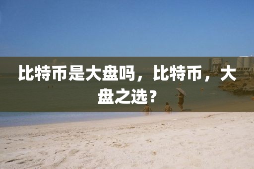 比特幣是大盤嗎，比特幣，大盤之選？