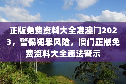 正版免費資料大全準澳門2023，警惕犯罪風險，澳門正版免費資料大全違法警示