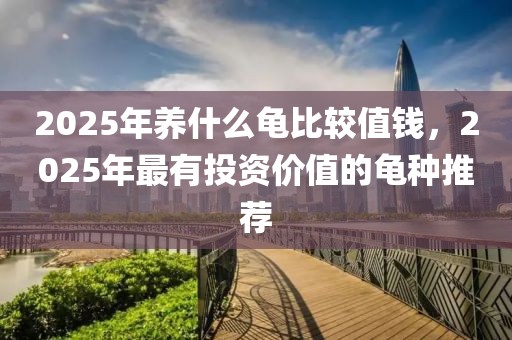 2025年養(yǎng)什么龜比較值錢，2025年最有投資價(jià)值的龜種推薦