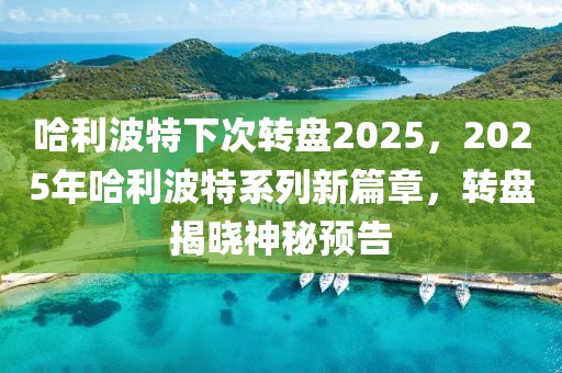 哈利波特下次轉(zhuǎn)盤(pán)2025，2025年哈利波特系列新篇章，轉(zhuǎn)盤(pán)揭曉神秘預(yù)告