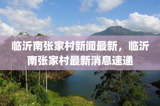 臨沂南張家村新聞最新，臨沂南張家村最新消息速遞