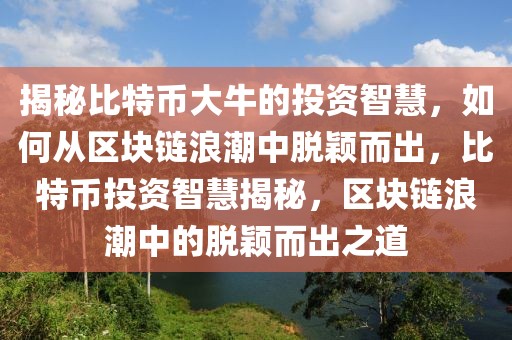 揭秘比特幣大牛的投資智慧，如何從區(qū)塊鏈浪潮中脫穎而出，比特幣投資智慧揭秘，區(qū)塊鏈浪潮中的脫穎而出之道