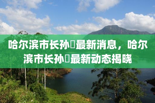 哈爾濱市長孫喆最新消息，哈爾濱市長孫喆最新動態(tài)揭曉