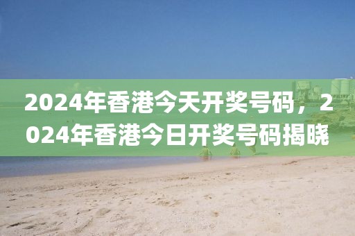 2024年香港今天開獎號碼，2024年香港今日開獎號碼揭曉