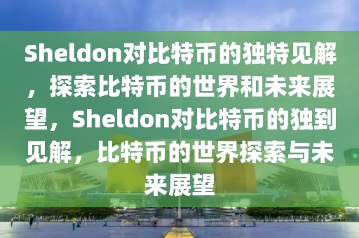 Sheldon對比特幣的獨(dú)特見解，探索比特幣的世界和未來展望，Sheldon對比特幣的獨(dú)到見解，比特幣的世界探索與未來展望