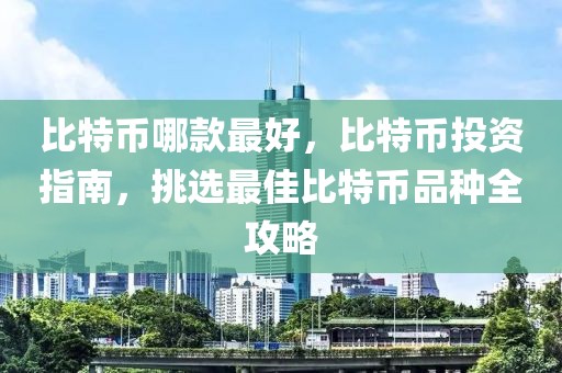 比特幣哪款最好，比特幣投資指南，挑選最佳比特幣品種全攻略