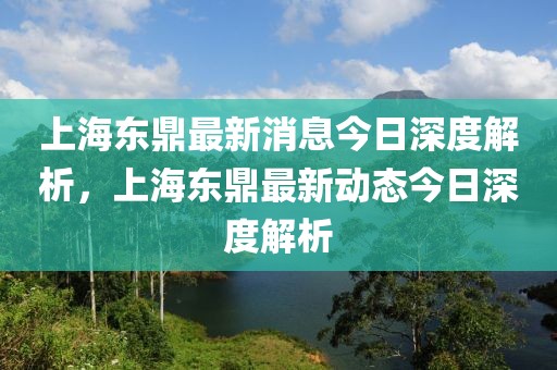 上海東鼎最新消息今日深度解析，上海東鼎最新動態(tài)今日深度解析