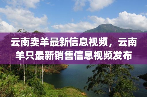 云南賣羊最新信息視頻，云南羊只最新銷售信息視頻發(fā)布