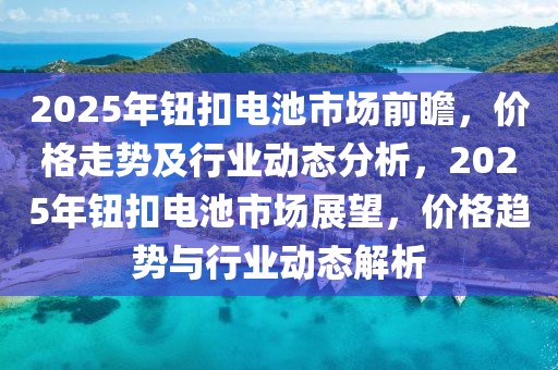 2025年鈕扣電池市場前瞻，價(jià)格走勢(shì)及行業(yè)動(dòng)態(tài)分析，2025年鈕扣電池市場展望，價(jià)格趨勢(shì)與行業(yè)動(dòng)態(tài)解析