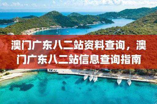 澳門廣東八二站資料查詢，澳門廣東八二站信息查詢指南