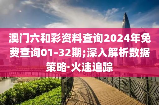 澳門(mén)六和彩資料查詢(xún)2024年免費(fèi)查詢(xún)01-32期;深入解析數(shù)據(jù)策略·火速追蹤