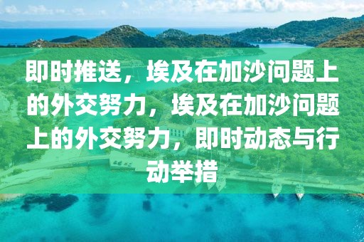 即時(shí)推送，埃及在加沙問(wèn)題上的外交努力，埃及在加沙問(wèn)題上的外交努力，即時(shí)動(dòng)態(tài)與行動(dòng)舉措