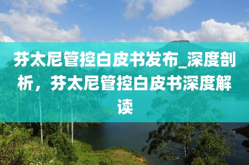 芬太尼管控白皮書發(fā)布_深度剖析，芬太尼管控白皮書深度解讀