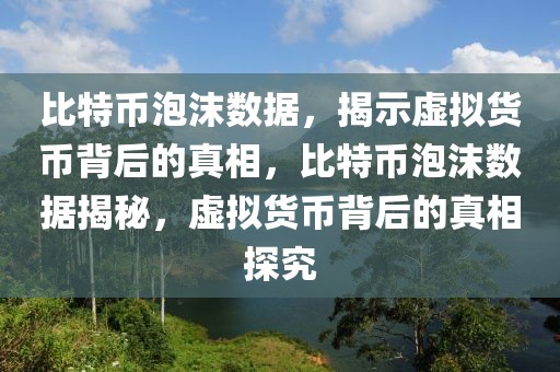 比特幣泡沫數(shù)據(jù)，揭示虛擬貨幣背后的真相，比特幣泡沫數(shù)據(jù)揭秘，虛擬貨幣背后的真相探究