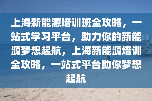 上海新能源培訓(xùn)班全攻略，一站式學(xué)習(xí)平臺，助力你的新能源夢想起航，上海新能源培訓(xùn)全攻略，一站式平臺助你夢想起航