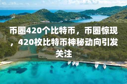 幣圈420個(gè)比特幣，幣圈驚現(xiàn)，420枚比特幣神秘動(dòng)向引發(fā)關(guān)注